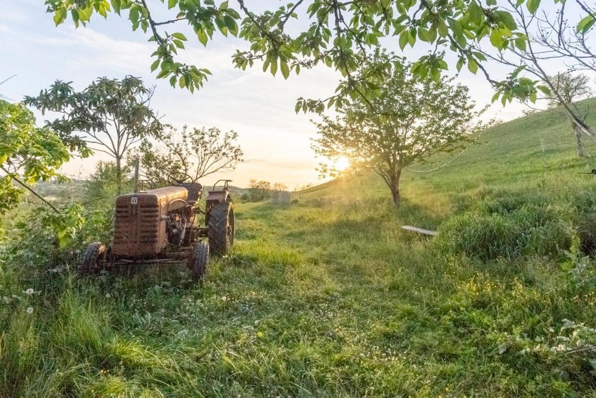 Ferme Renovee Βίλα Le Fossat Εξωτερικό φωτογραφία